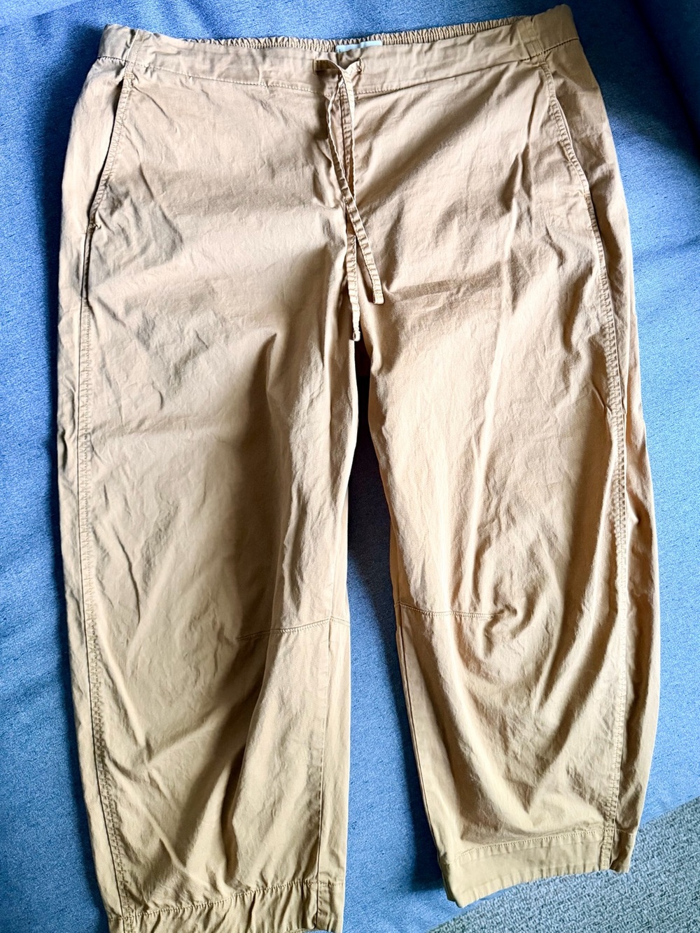 Everlane Easy Barrel Drawstring Pants in Oak Brown - Picture 8 of 10